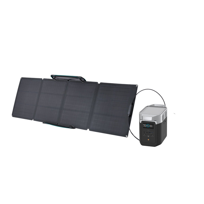 Load image into Gallery viewer, EcoFlow DELTA 2 + 110W Portable Solar Panel DELTA 2 / 1