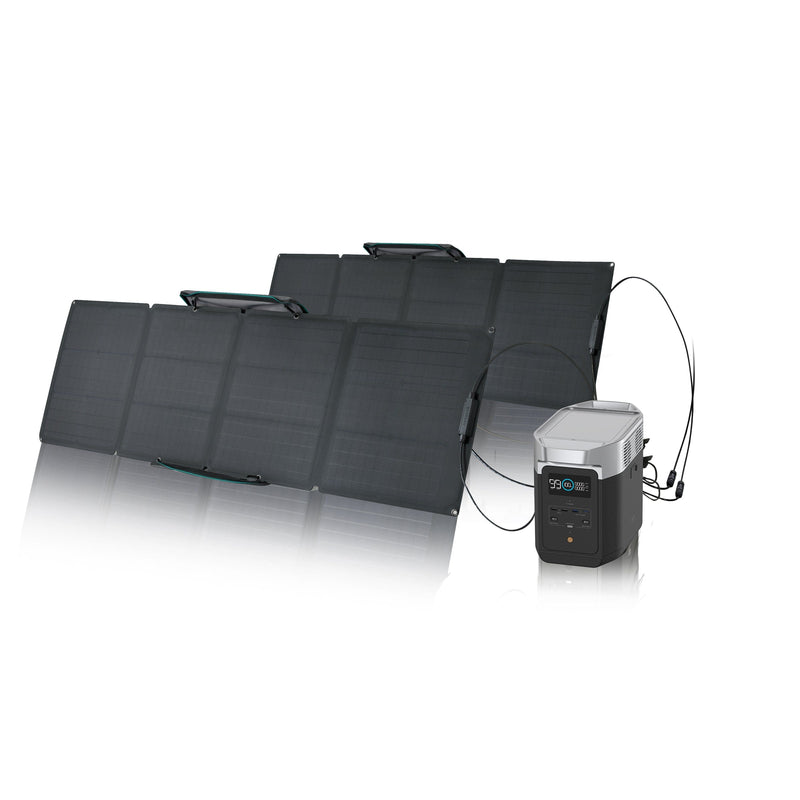 Load image into Gallery viewer, EcoFlow DELTA 2 + 110W Portable Solar Panel DELTA 2 / 2