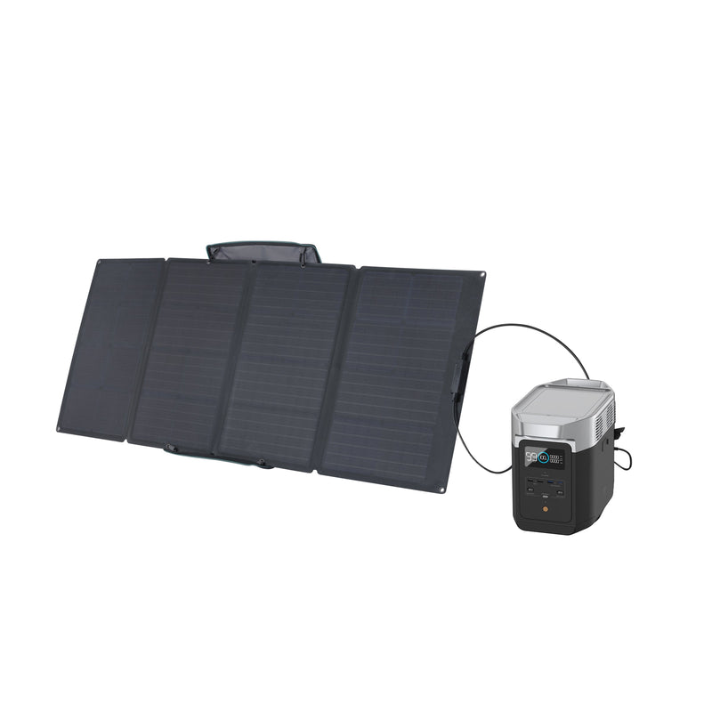 Load image into Gallery viewer, EcoFlow DELTA 2 + 160W Portable Solar Panel DELTA 2 / 1