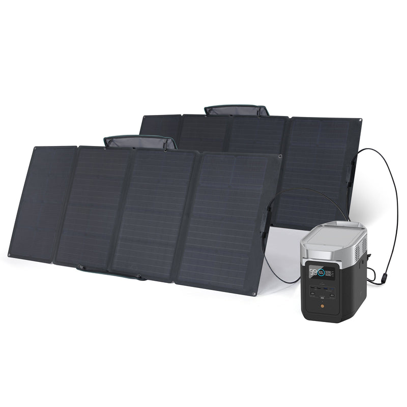 Load image into Gallery viewer, EcoFlow DELTA 2 + 160W Portable Solar Panel DELTA 2 / 2