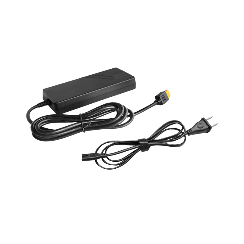 EcoFlow AC Power Adapter