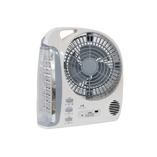 EcoFlow 6‑in‑1 Multi‑Function Fan