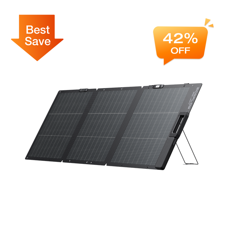 Load image into Gallery viewer, EcoFlow NextGen 160W Portable Solar Panel
