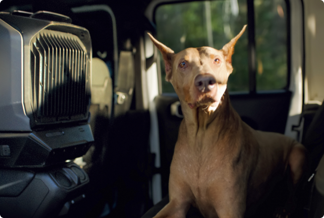 Intelligent Modes for Maximum Comfort