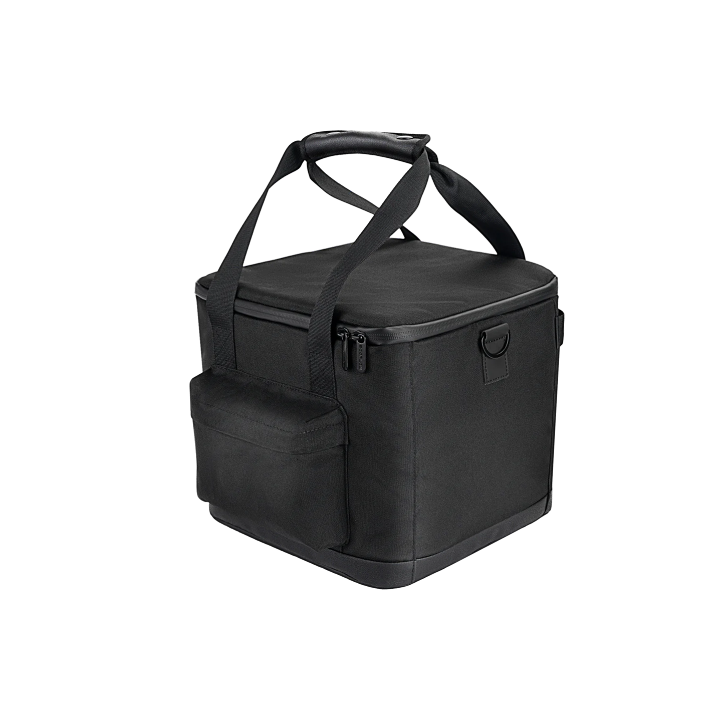 EcoFlow RIVER 2 HandBag