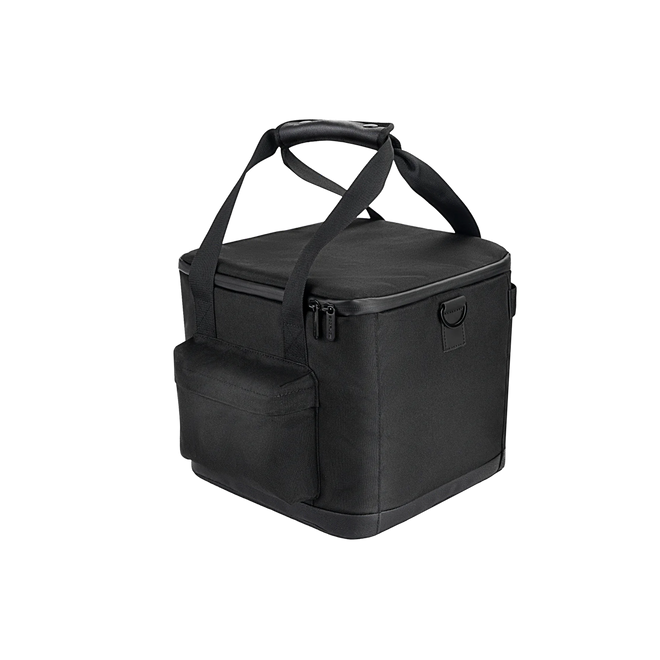 EcoFlow RIVER 2 HandBag