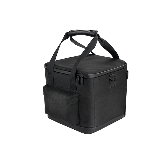 EcoFlow RIVER 2 HandBag